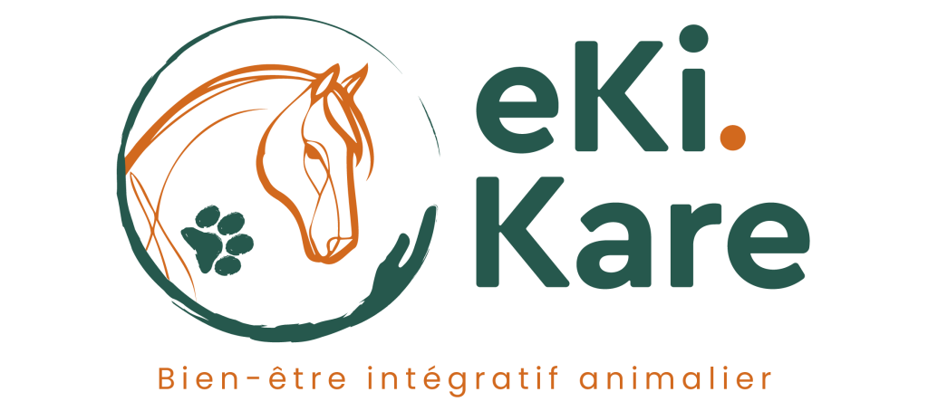 logo de Karelle ekikare