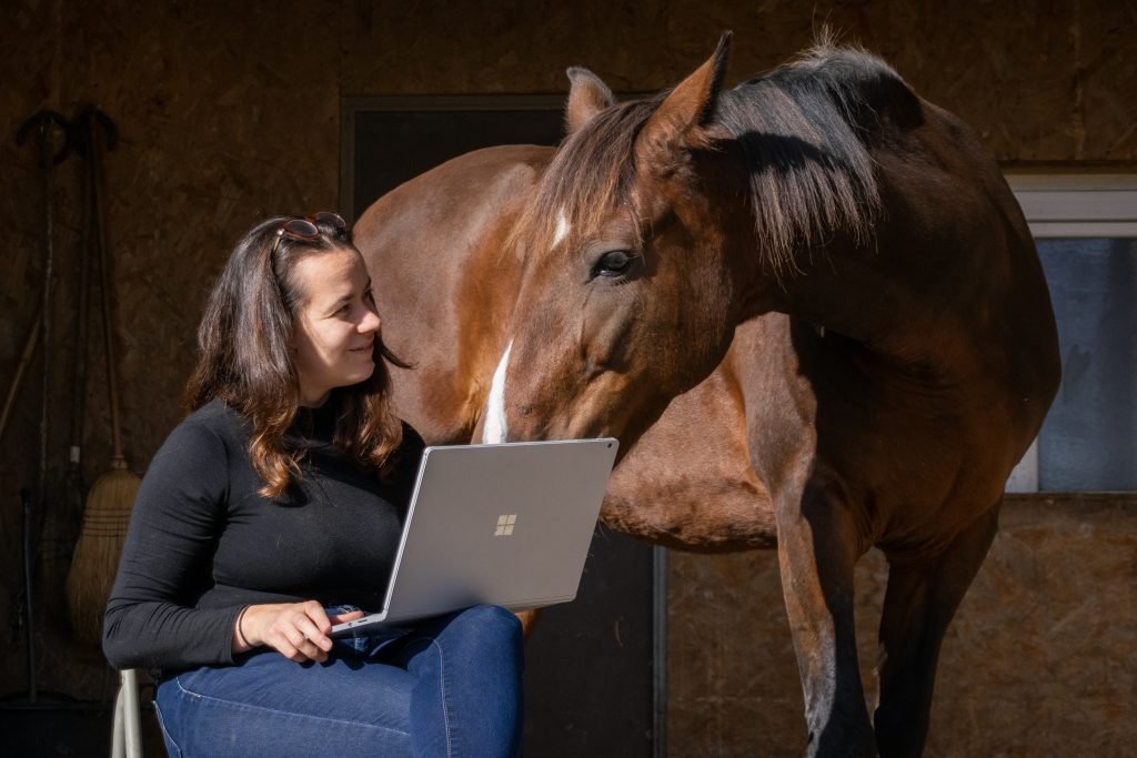 cheval qui regarde l'ordinateur